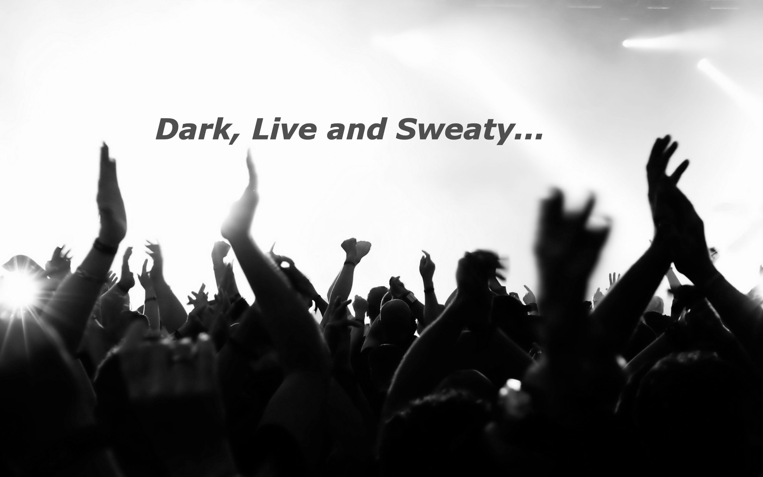 Dark: Live: Sweaty
